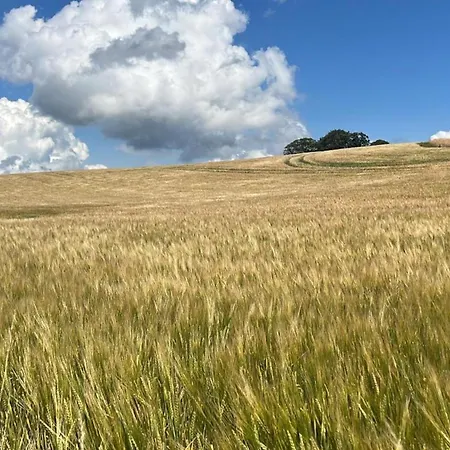 بيت للعطل Muellerhaus - Ostholstein